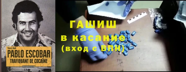 хмурый Алексин