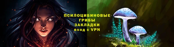 трава Алзамай