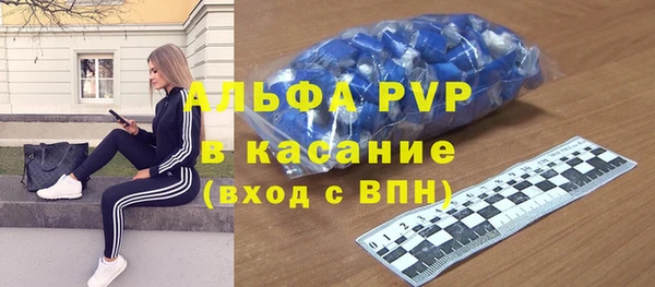 хмурый Алексин