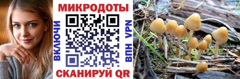 Псилоцибиновые грибы прущие грибы  Слободской 